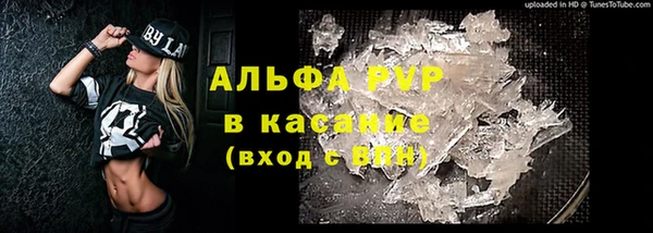крисы Алексин